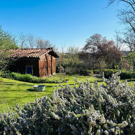 Bed and Breakfast Lumi-house