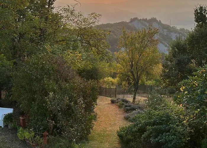 Lumi-house Bed and breakfast 3*